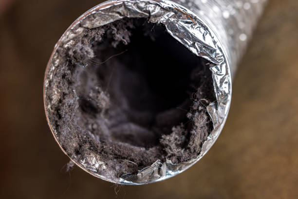 Best Affordable Air Duct Cleaning  in Cle Elum, WA